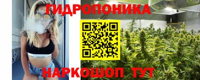 a pvp Можга