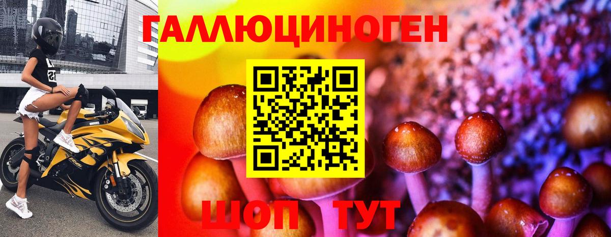 Псилоцибиновые грибы Psilocybine cubensis  Вход с VPN  Урус-Мартан 